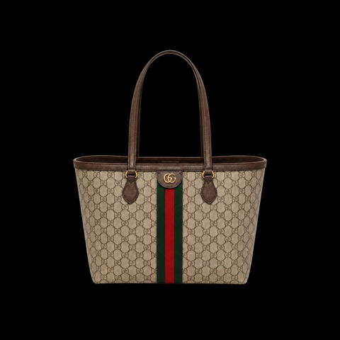 Gucci Purse